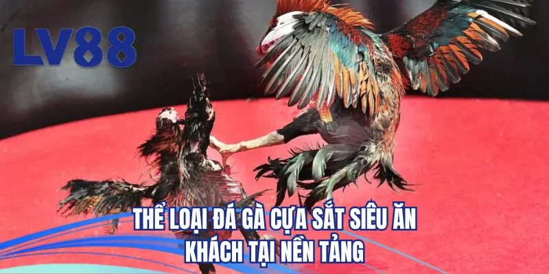 Thể loại đá gà cựa sắt siêu ăn khách tại nền tảng 